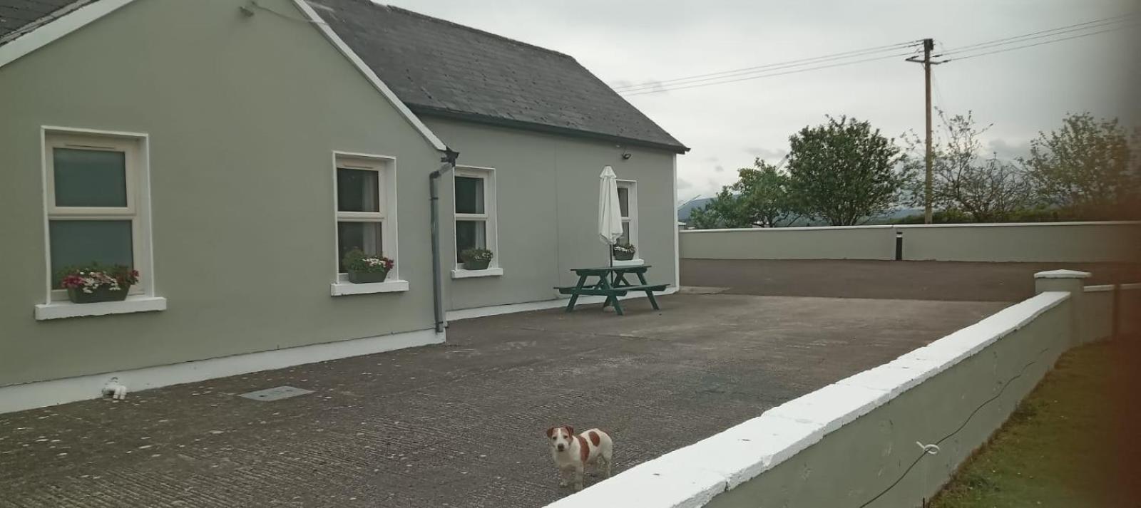 Birdhill Farmhouse Tipperary Ngoại thất bức ảnh